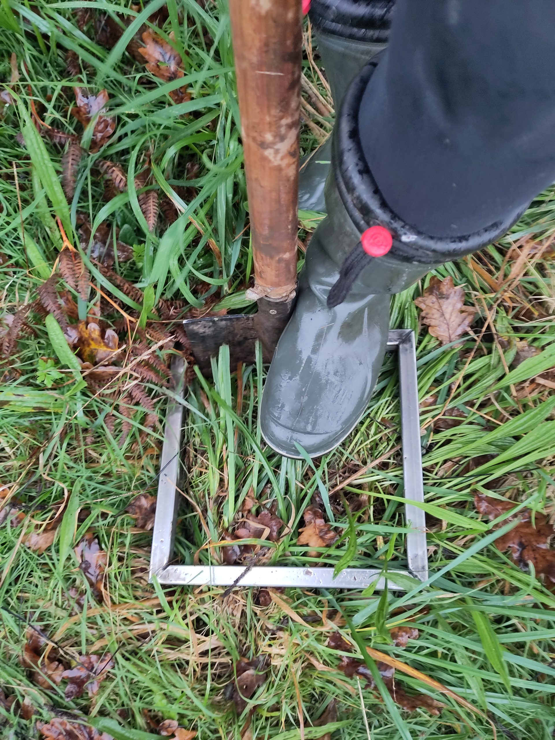 Read more about the article On soil sampling in Galicia