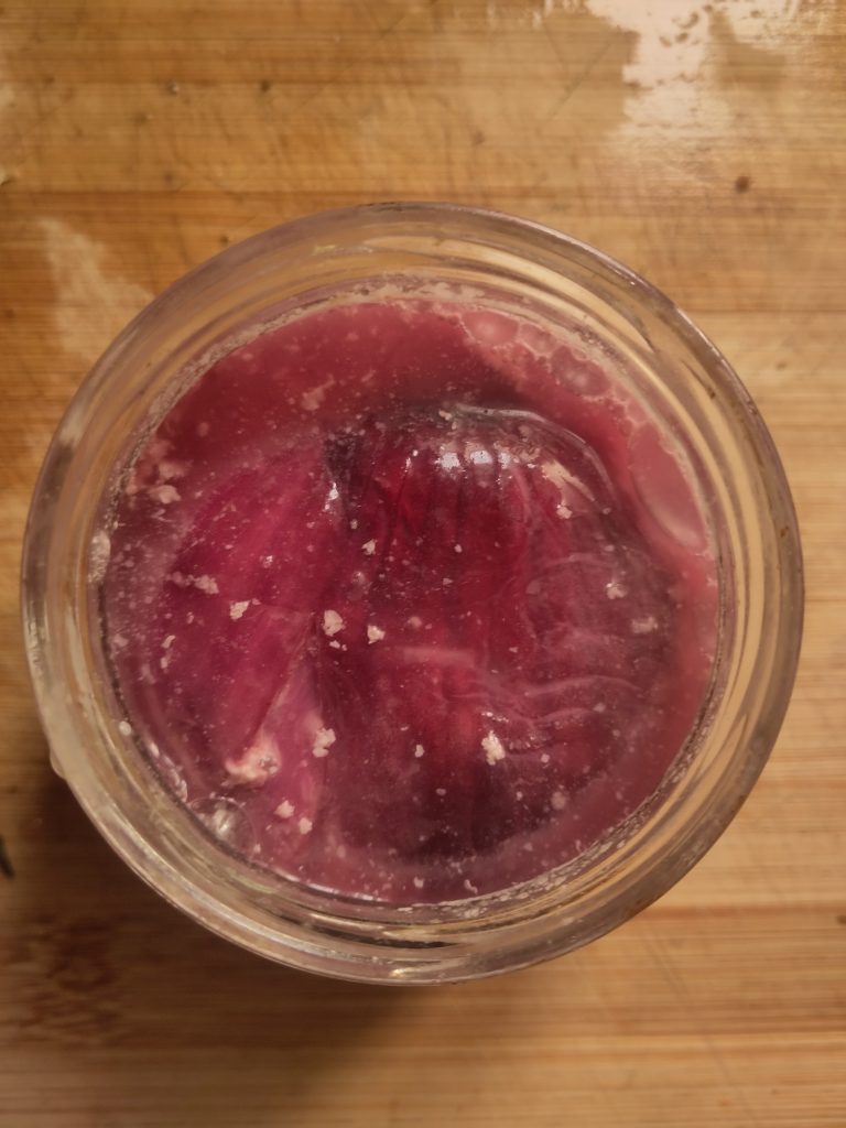 Read more about the article Fermented red onions