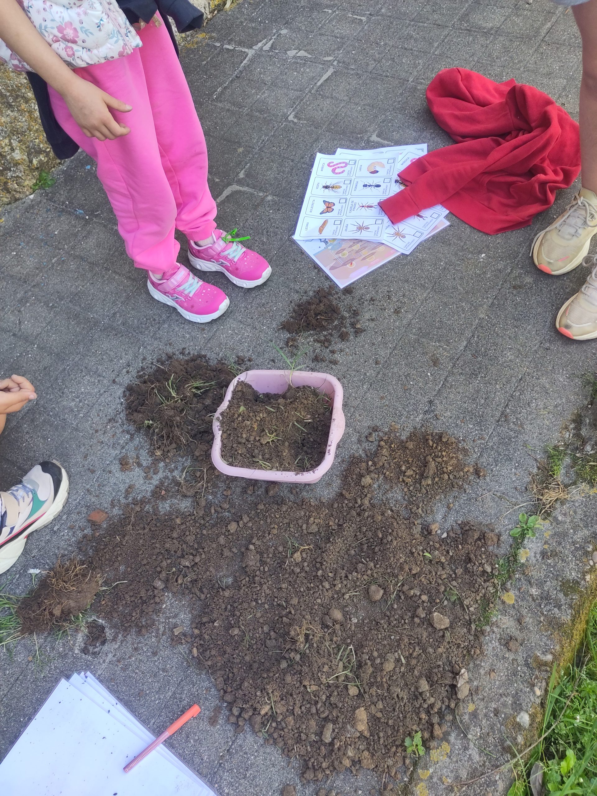 Read more about the article Going on soil safari