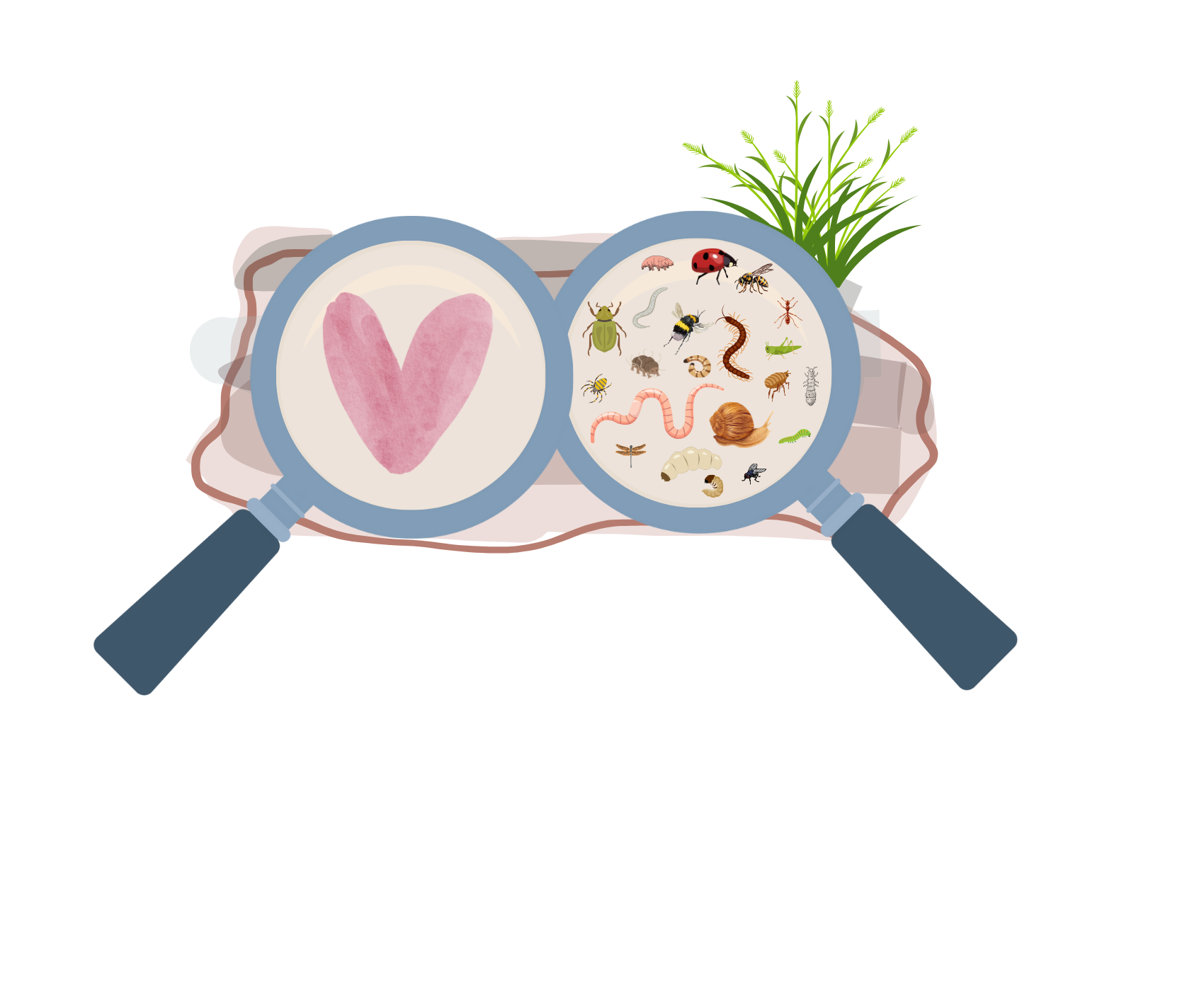 Read more about the article Soil is alive – some field emotions/thoughts when interacting