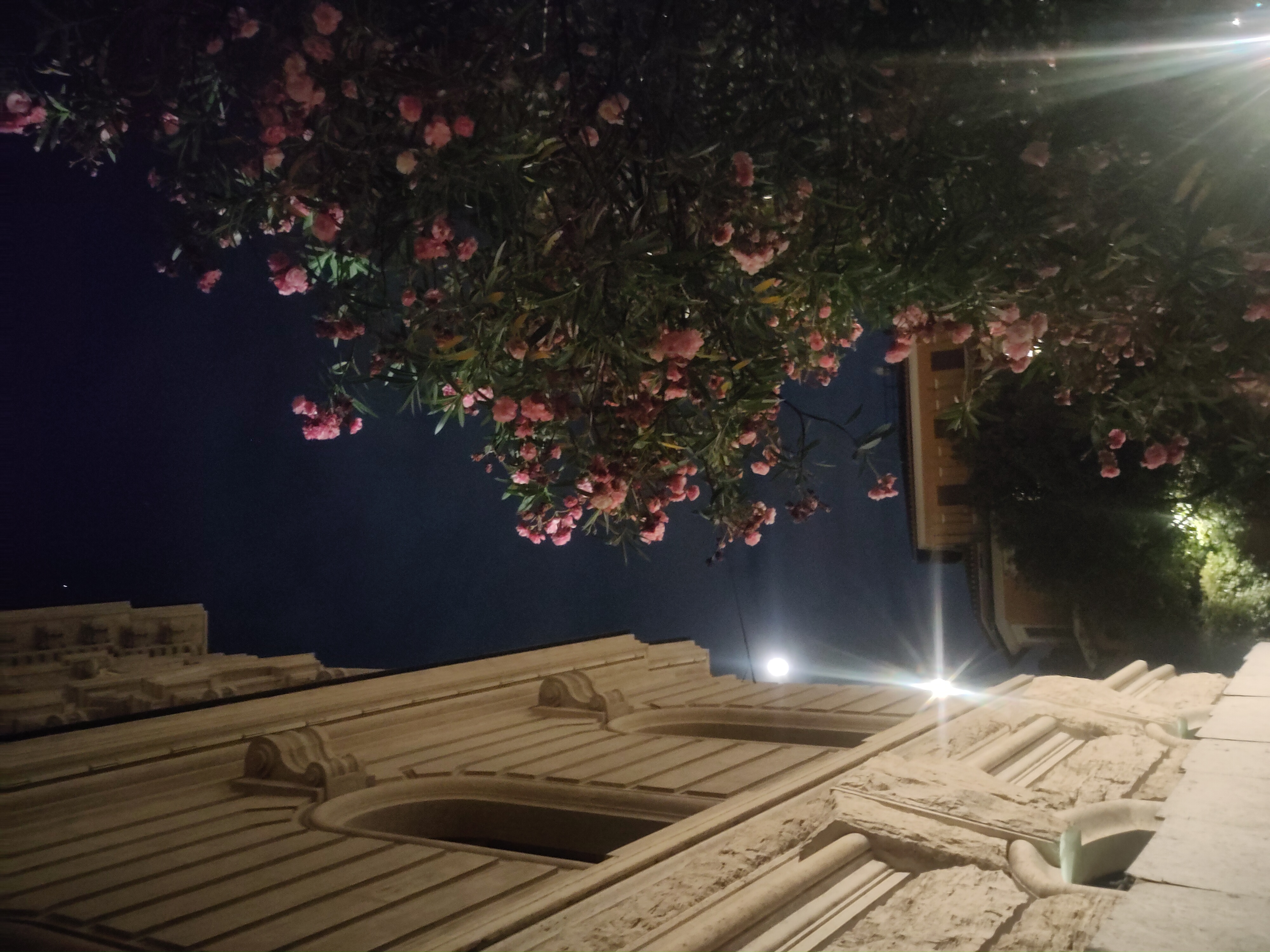 Read more about the article Emotionale Wissenschaft in der ewigen (geliebten) Stadt